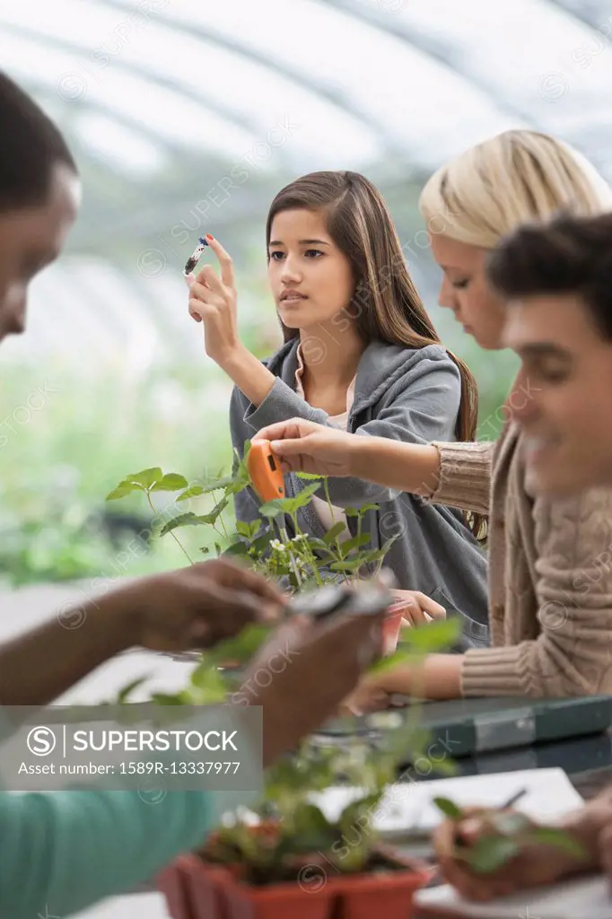 Students working in greenhouse