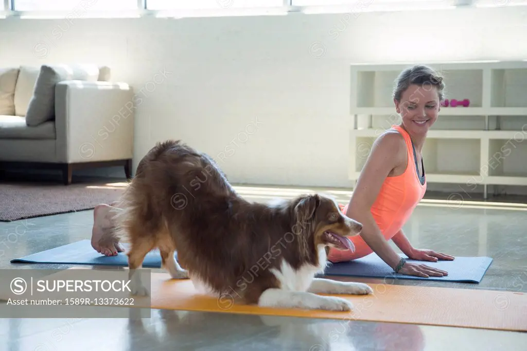 Caucasian woman and dog doing yoga stretching backs