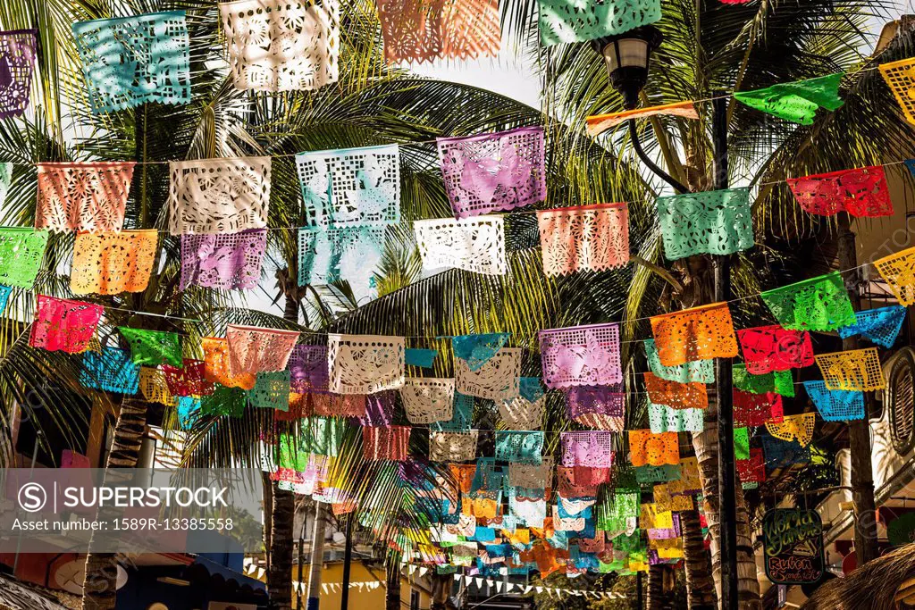 Multicolor flags under palm trees