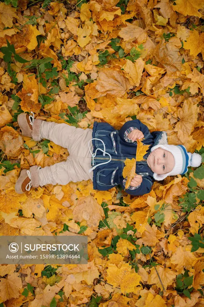 Middle Eastern baby boy laying in autumn leaves