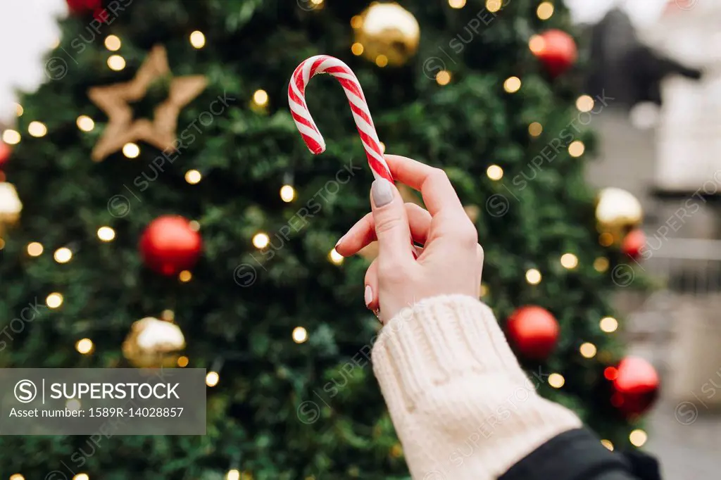 Hand of Caucasian woman holding candy cane near Christmas tree