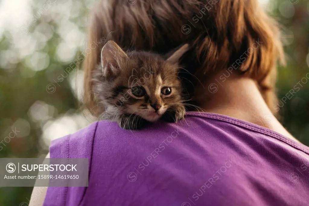 Face of cat sitting on shoulder of woman