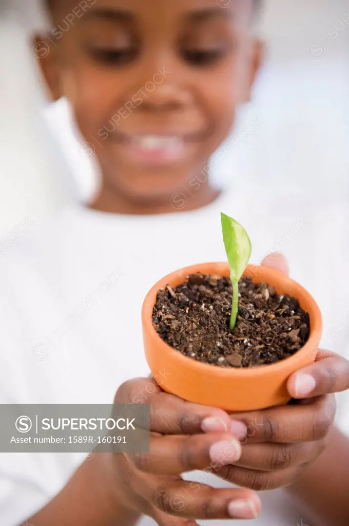 Black boy holding seedling in pot