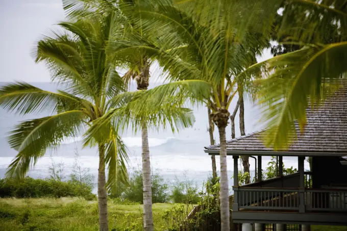 Exterior of a Hawaiian home overlooking the sea