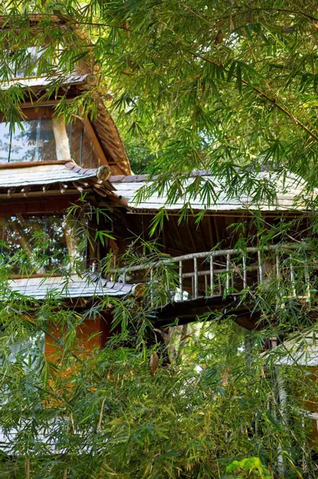 Bamboo treehouse, Ubud, Bali, Indonesia