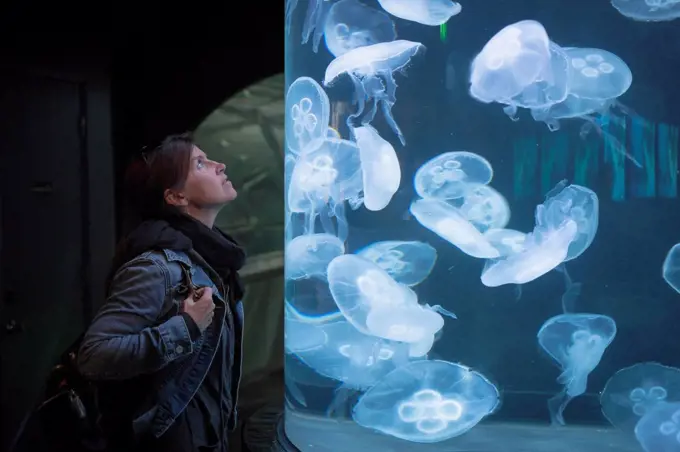 Caucasian woman admiring jellyfish in aquarium