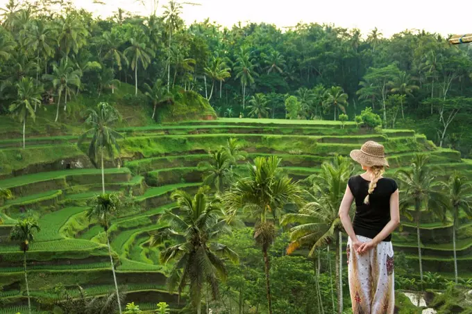 Caucasian tourist admiring rural rice terrace, Ubud, Bali, Indonesia