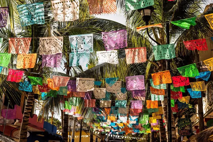 Multicolor flags under palm trees