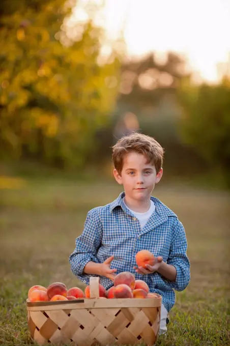 Caucasian boy picking fruit in orchard