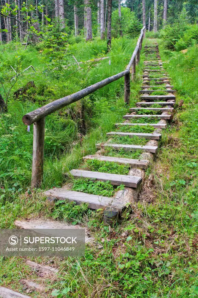 Bavaria, Germany, Europe, Anger, way, ways, footpath, step, steps, wooden steps, railings, wooden railings, stair,