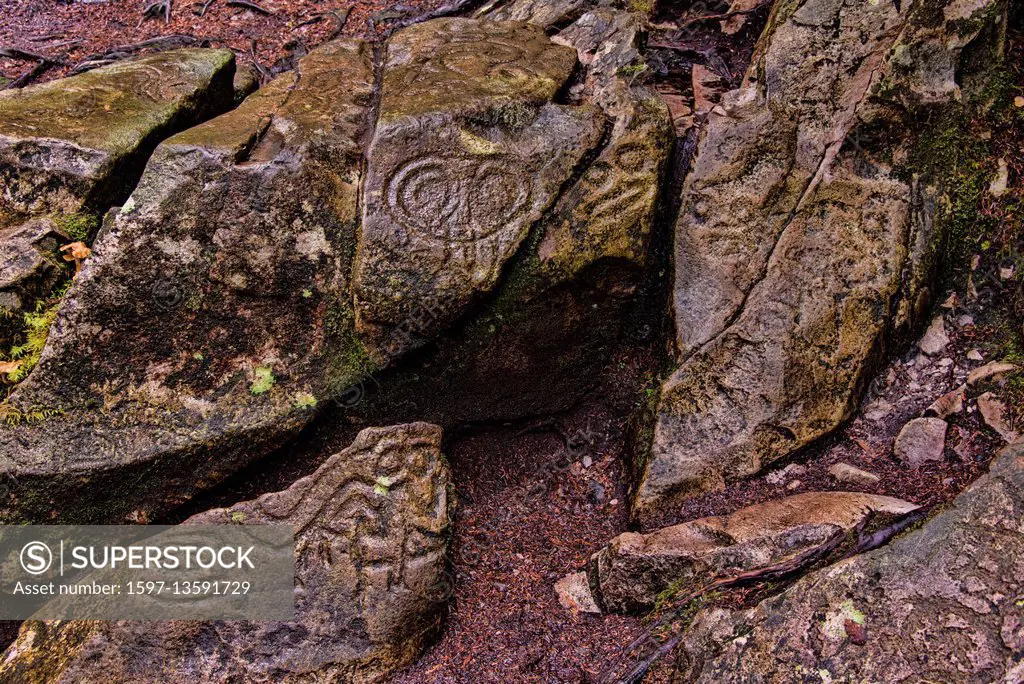 bella coola petroglyphs, bc, Canada