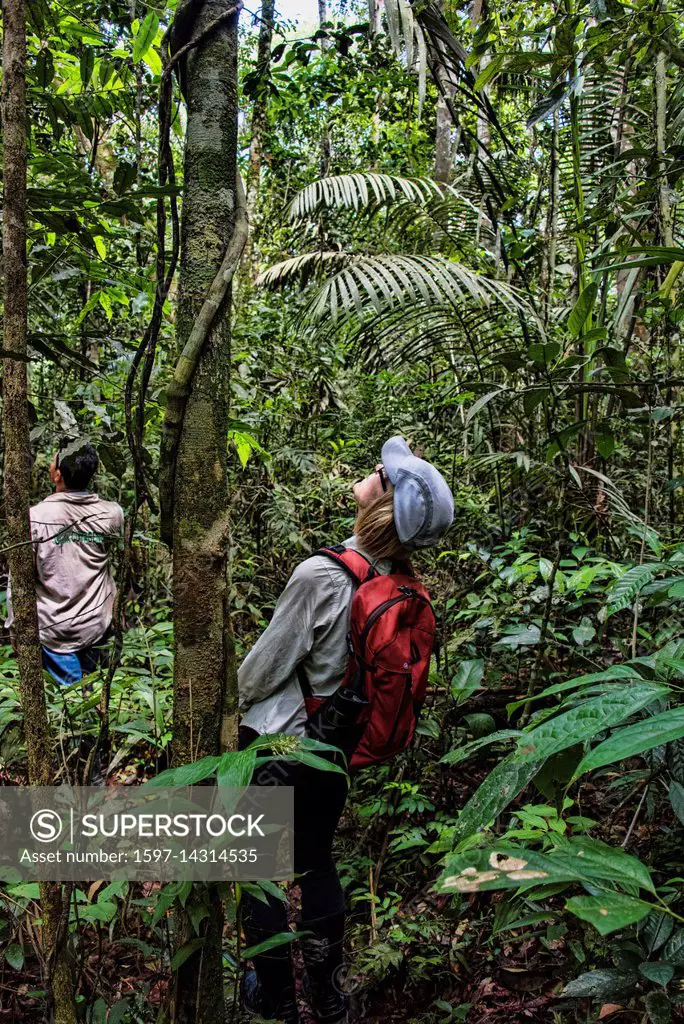 Tourist In Amazon Jungle, Ecuador