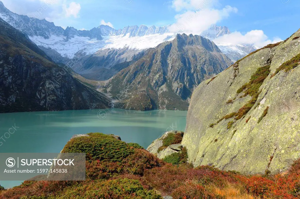 Switzerland, Uri, mountain lake, Alps, mountains, glaciers, Göscheneralp, Göscheneralpsee, autumn, water, lake, dam, flowers, mountain pastures