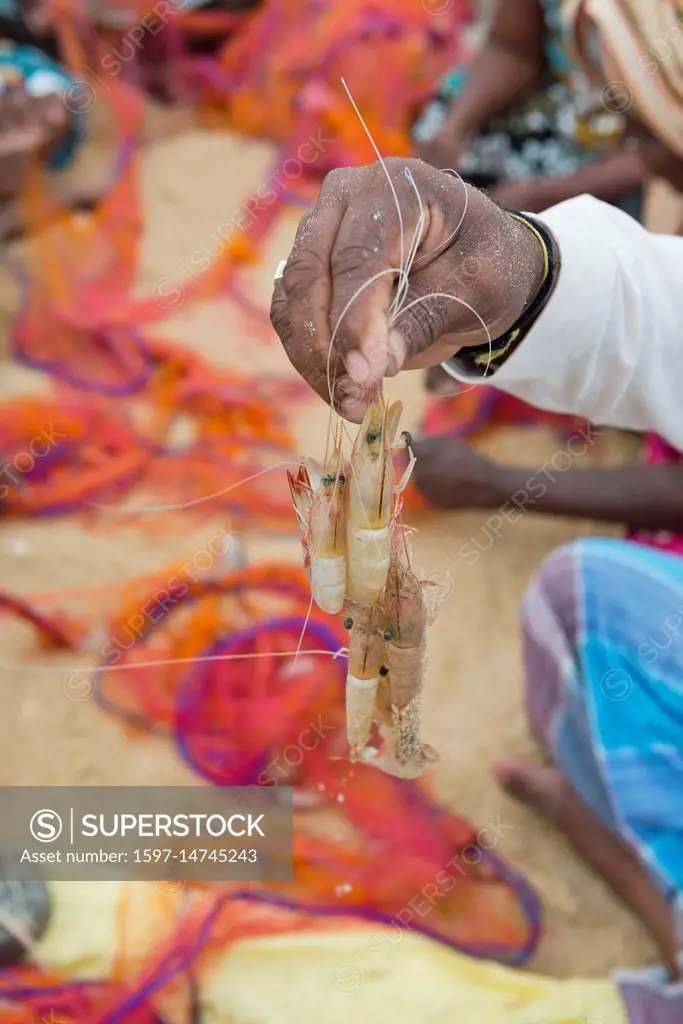 Sri Lanka, Mullaitivu, Asia