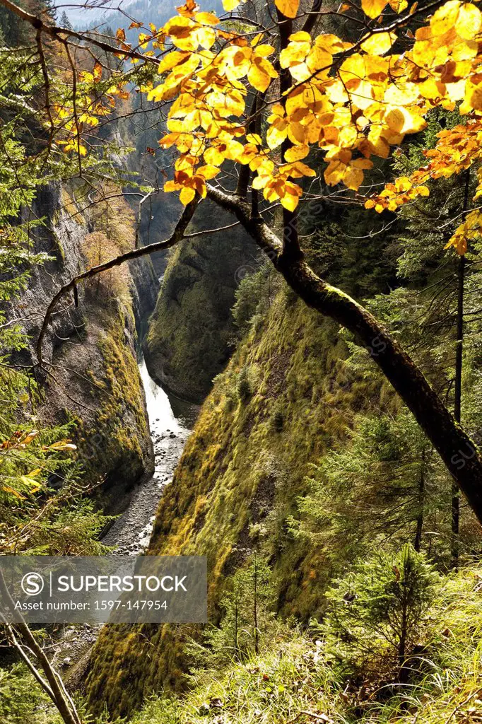 creek, brook, rivulet, beck, abyss, precipice, kloof, ravine, gorge, gill, mountian torrent, Emme, Emmental, canton Bern, nature, Räbloch, natural mon...