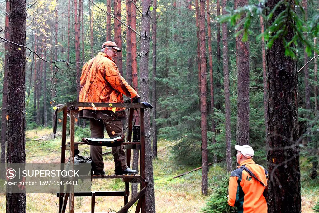 Ansitzjagd, driven hunt, driven hunt in October, Herbsliche hunt, autumn hunt, hunt, hunt in Central Europe, hunting impressions, hunting impressions,...