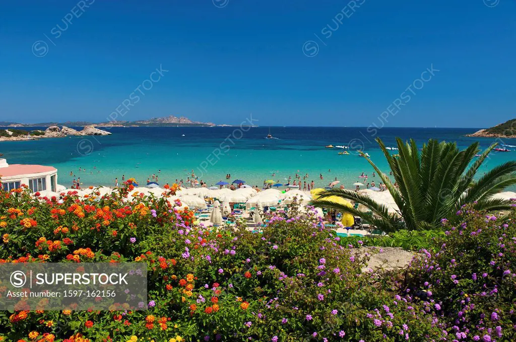 Italy, Sardegna, Sardinia, Europe, European, island, isle, islands, isles, Mediterranean Sea, day, Baia Sardinia, palm beach, palm beaches, sand beach...