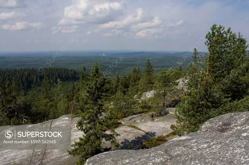 Scandinavia, Finland, north, Europe, Northern Europe, country, travel, vacation, landscape, Koli, mountain, mountains, wood, forest, wood, forest, mou...