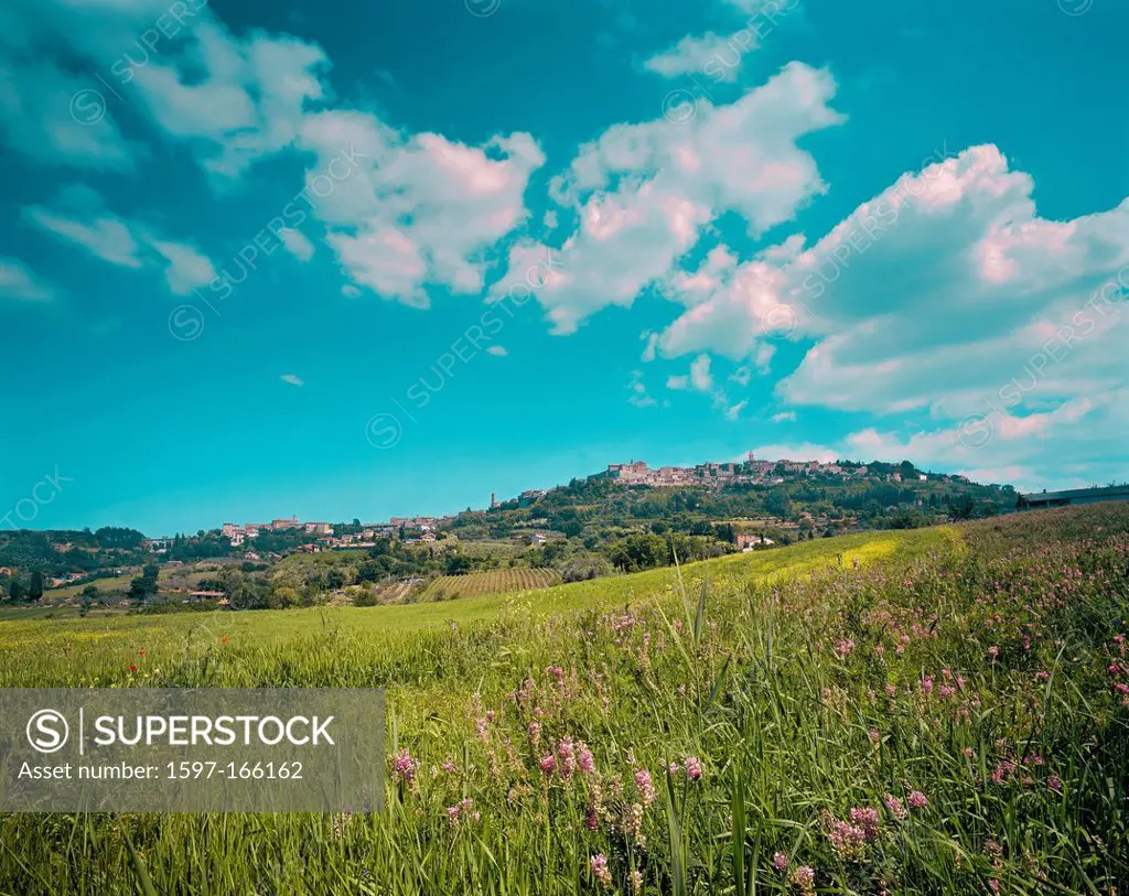 Italy, Europe, Tuscany Toscana, Montepulciano, forest, wood, trees, summer, fields, hills,