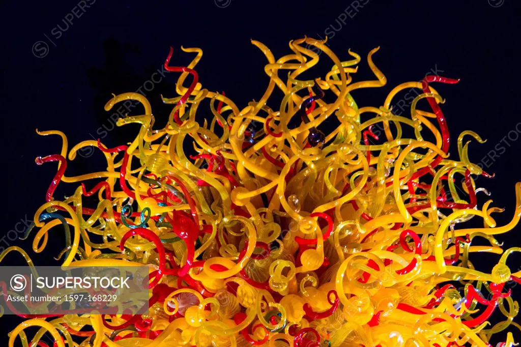 Dale Chihuly at the Dallas Arboretum, Dallas, USA,