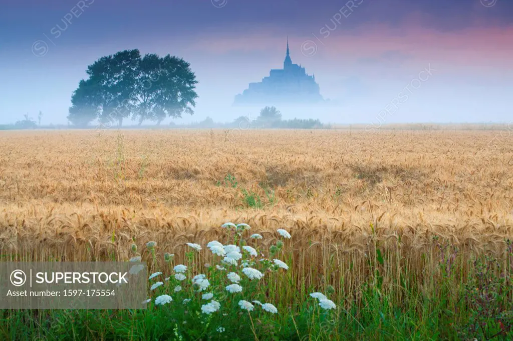 St. Michel´s mount, Mont Saint_Michel, mont, St. Michel, France, Europe, Normandy, department some, UNESCO, world cultural heritage, cloister, mountai...