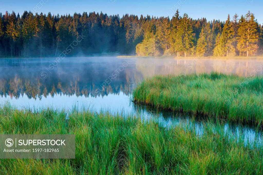 Etang de la Gruère, Switzerland, Europe, canton, Jura, nature reserve, nature, Doubs, nature reserve, lake, peat lake, lake shore, plants, sedges, mor...