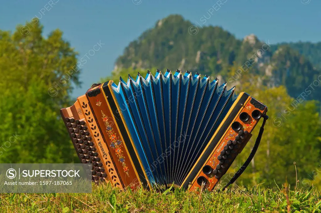 Accordion deals folk music