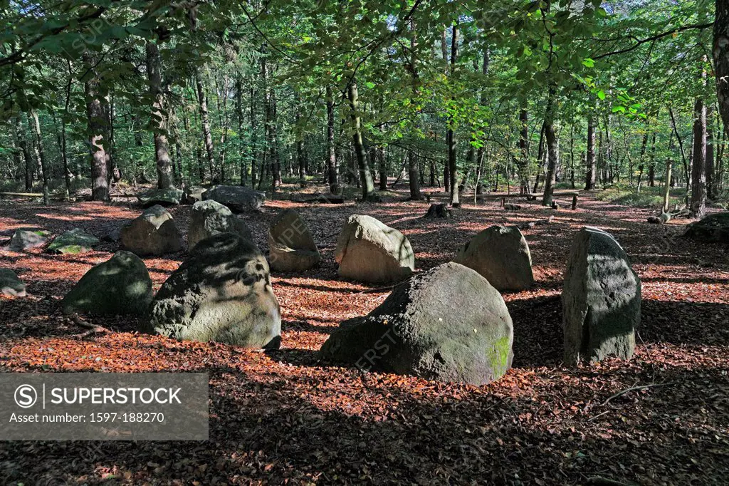 Europe, Germany, DE, Lower Saxony, Stöckse, Giebichenstein, big stone, grave, Neolithic, state forest, crow, excavation, trees, stone, historical, pla...