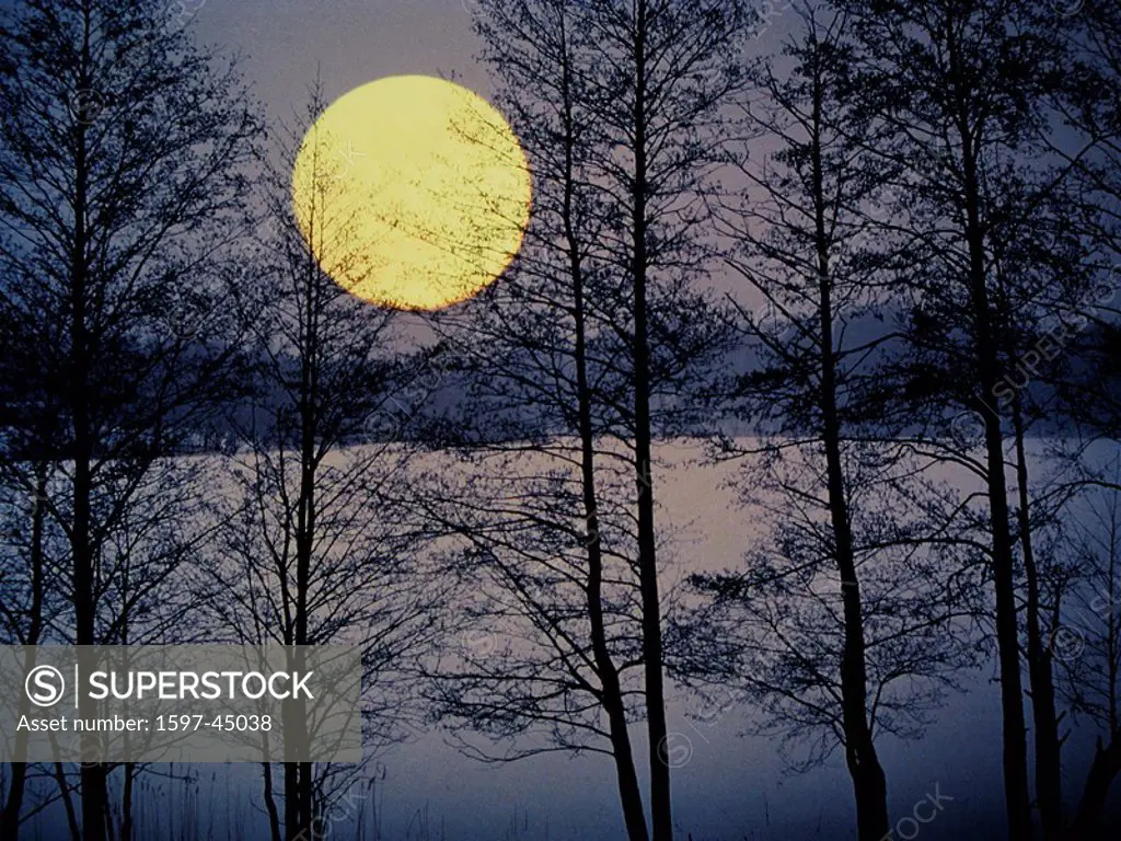 Full moon, winter, at night, lake, trees, Masuria, Pole, silhouettes, landscape, nature, scenery, landscape, scenic, w