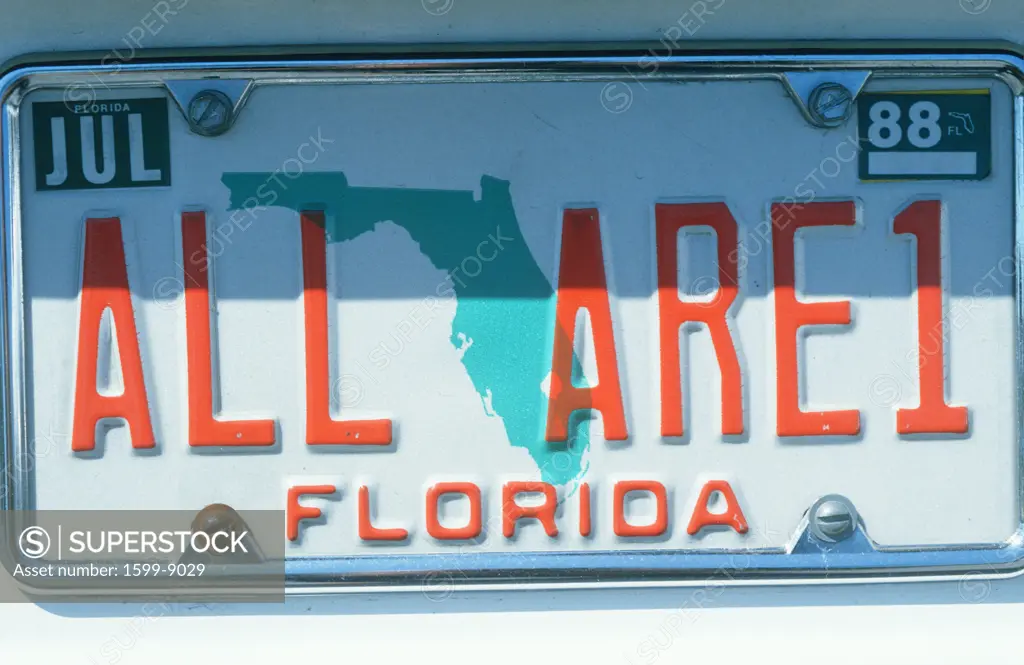 Vanity License Plate - Florida