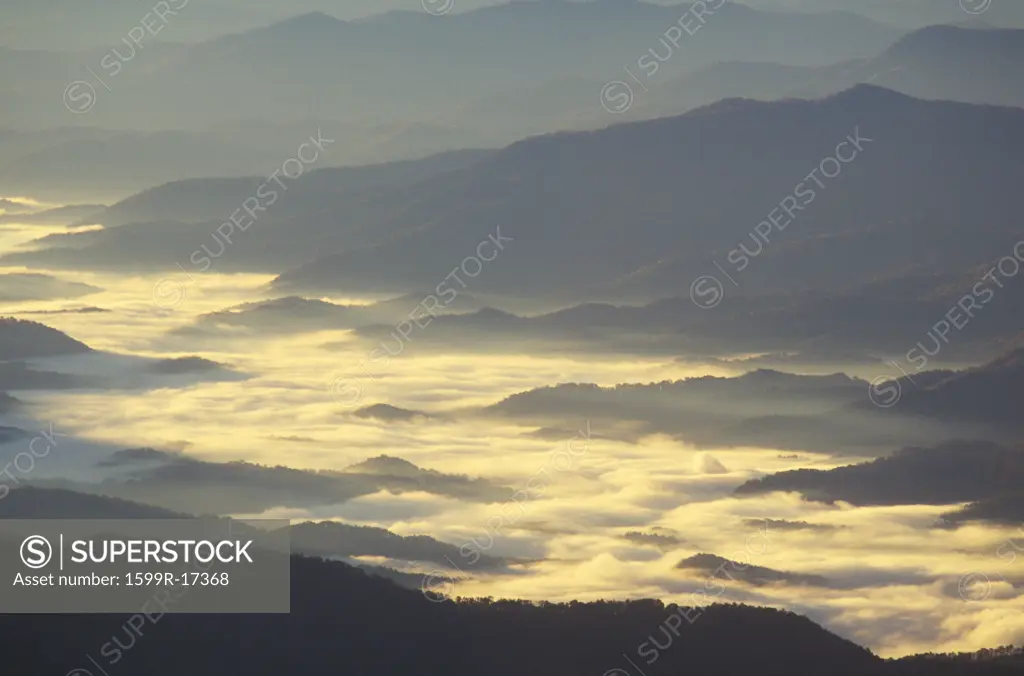 Morning Fog In Great Smokey Mountain National Park, Tennessee