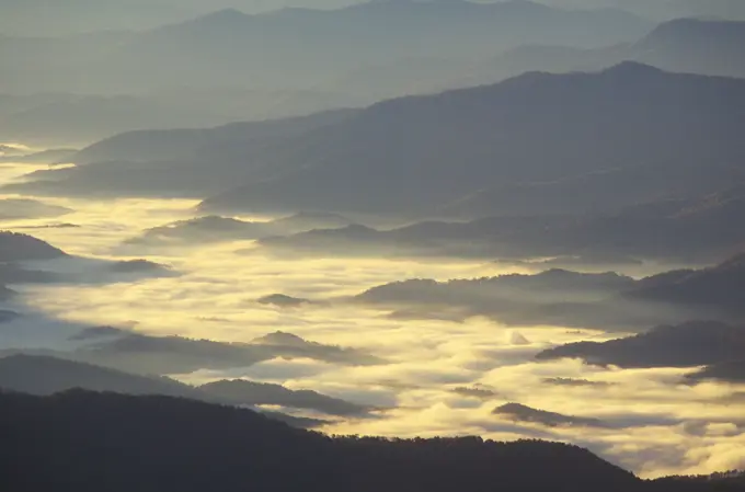 Morning Fog In Great Smokey Mountain National Park, Tennessee