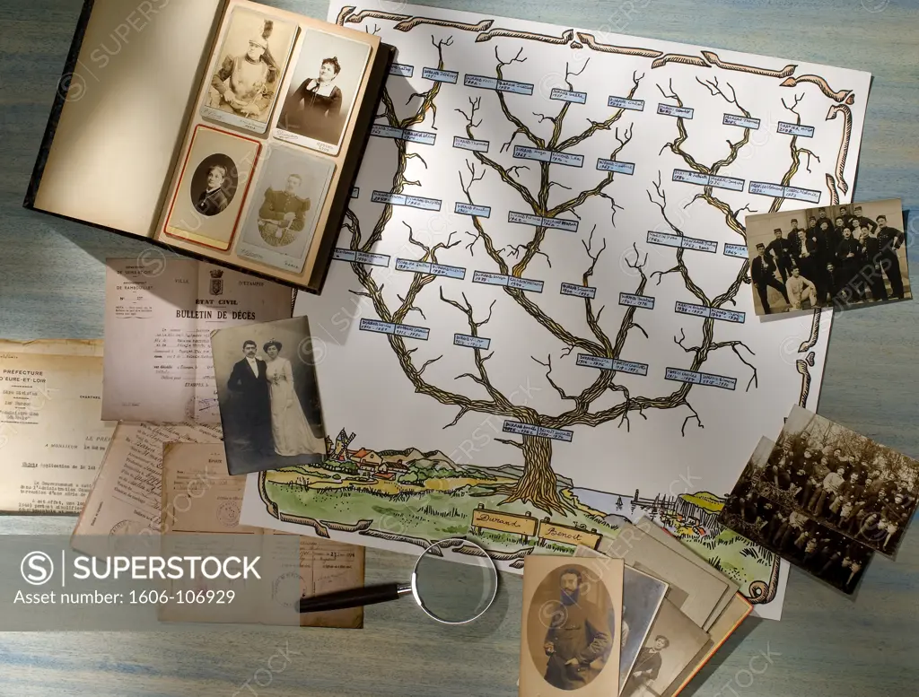 Family tree and old photographs