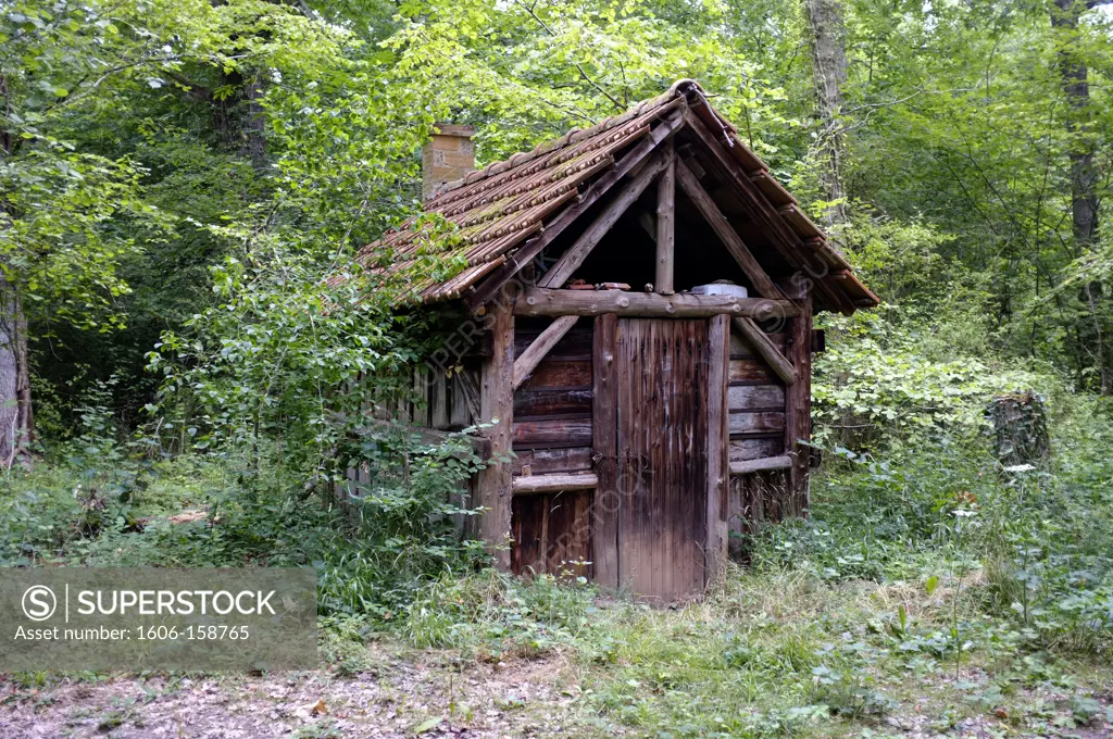 Hut in the woods