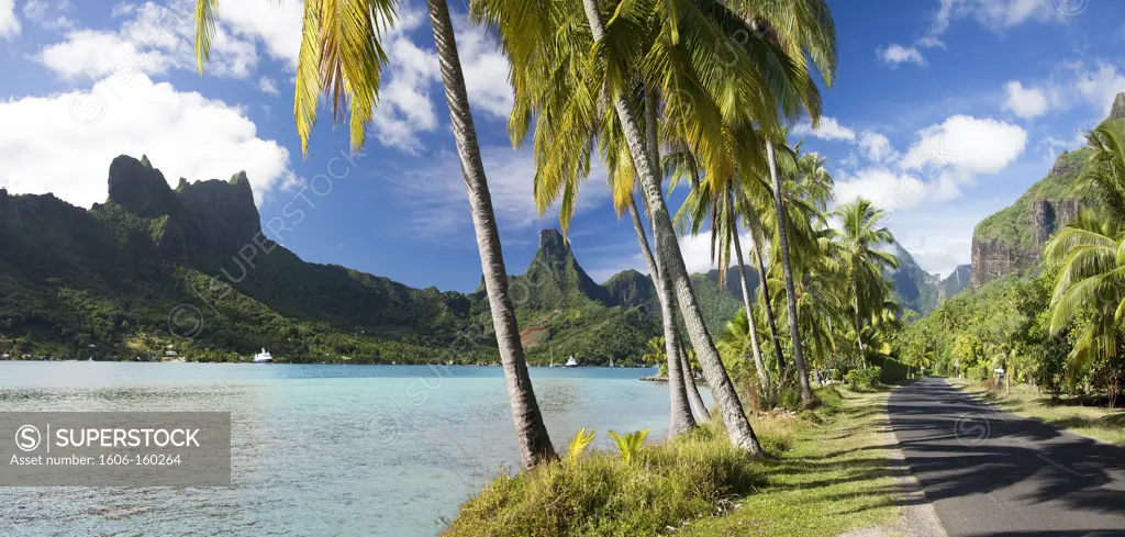 Tahiti-May 2009 Moorea Island (Society islands) Cook's Bay