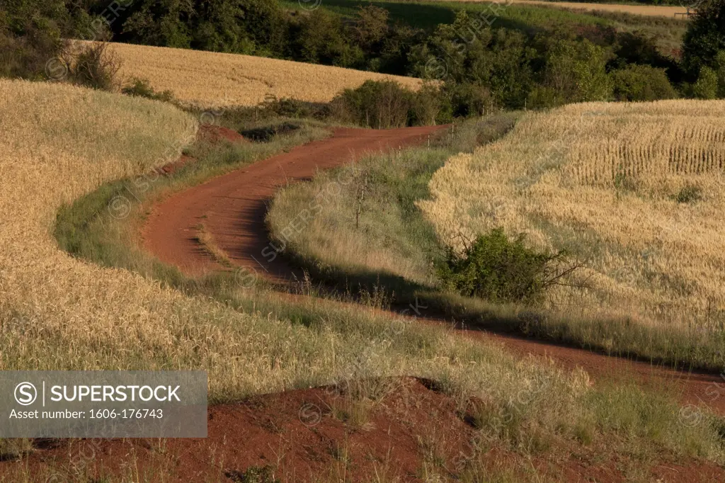 France, Aveyron, red soil in Rougier de Camares region, road