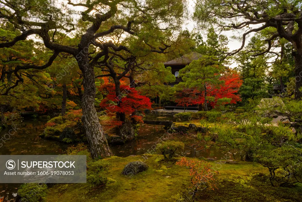 The Silver Pavilion Temple and its beautiful orange-red colors, Higashiyama district, Kyoto, Kansai, Honshu, Japan