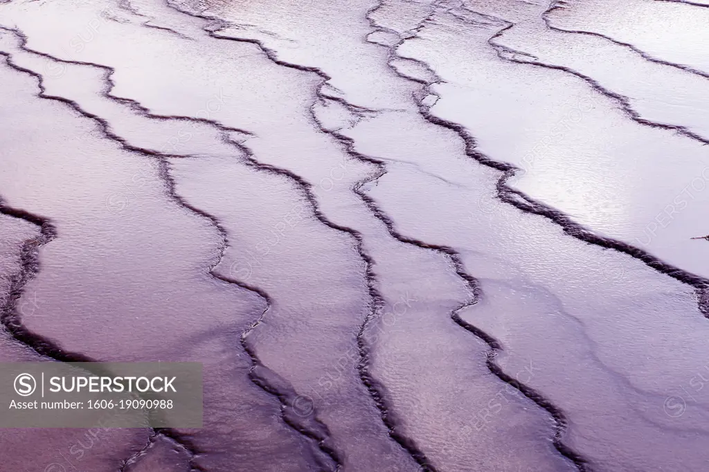 USA. Wyoming. Yellowstone Park. Midway Geyser Basin. Grand Prismatic Spring.