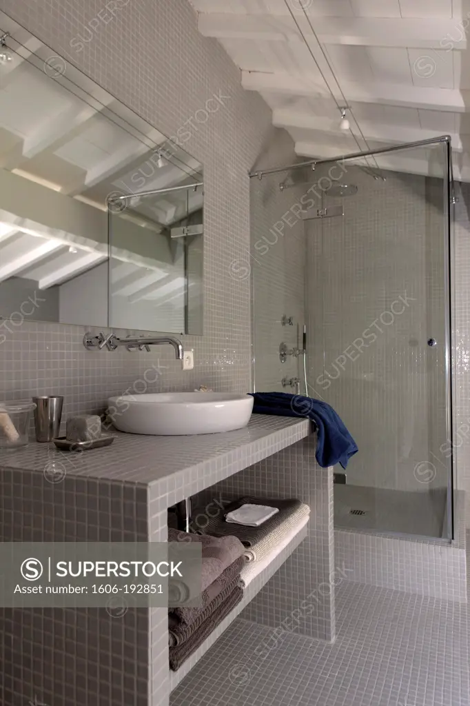 Modern Bathroom With Glass Shower And Washbassin