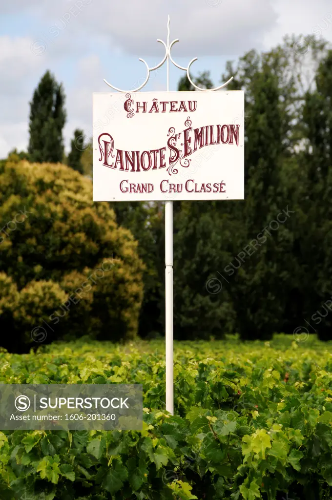 France, Aquitaine, Gironde, Sign Of Chateau Laniote In Saint Emilion Vineyard, Heritage Unesco.