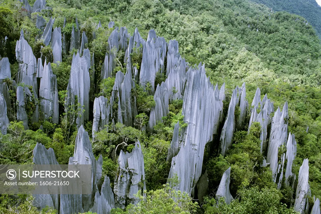 Borneo, Sarawak, Gunung Mulu national park, landscape