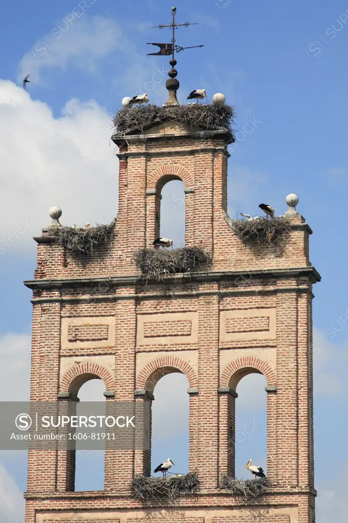 Spain, Castilla Leon, vila, tower with stork nests
