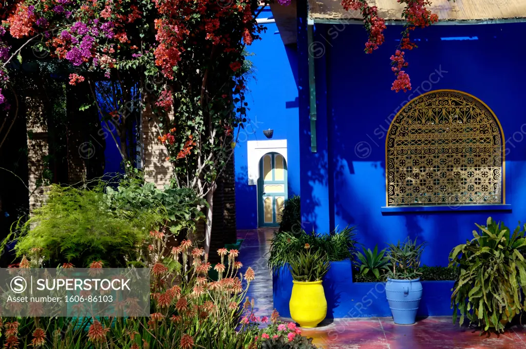 Morroco, City of Marrakesh, Majorelle Garden