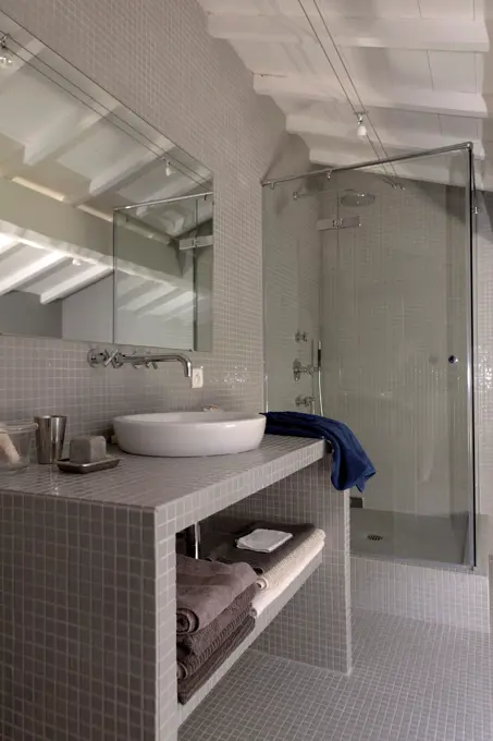 Modern Bathroom With Glass Shower And Washbassin