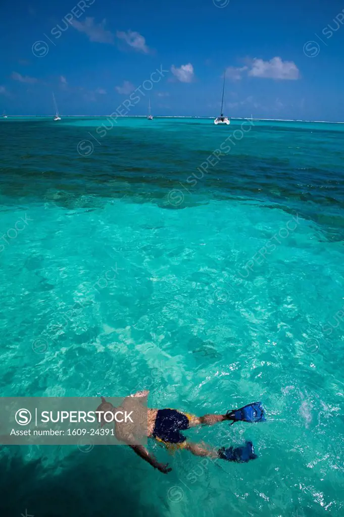 Belize, Ambergris Caye, San Pedro, Tourist snorkelling