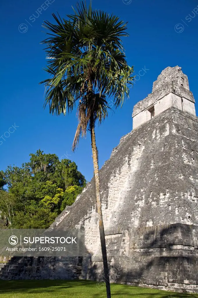 Guatemala, El Peten, Tikal, Gran Plaza, Temple 1, Temple of the Great Jaguar or Templo del Gran Jaguar