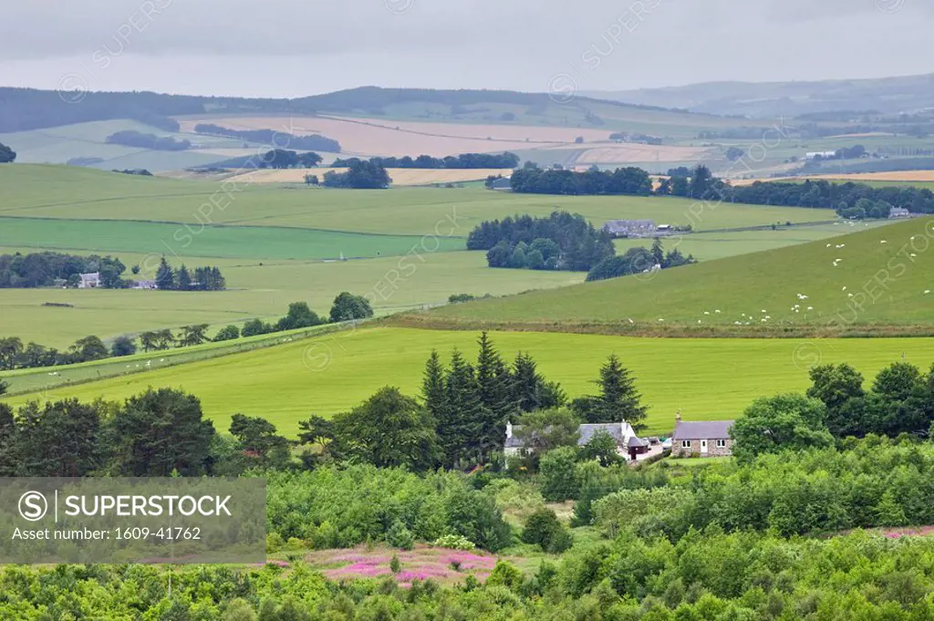 Scotland, Aberdeenshire, Countryside View