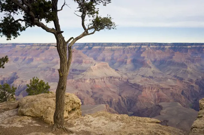 South Rim, Grand Canyon, Arizona, USA