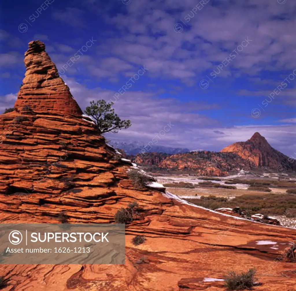 Zion Plateau, Zion National Park, Utah, USA