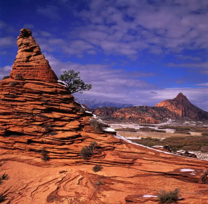 Zion Plateau, Zion National Park, Utah, USA